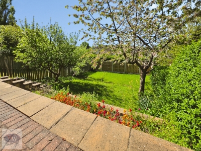 Picture 22